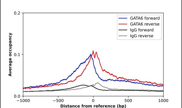 Anti-GATA6 antibody produced in rabbit Prestige Antibodies&#174; Powered by Atlas Antibodies, affinity isolated antibody