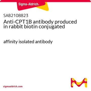 Anti-CPT1B antibody produced in rabbit biotin conjugated affinity isolated antibody