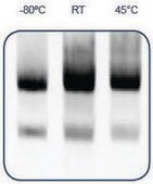 RNAstable&#174; Tube Kit, for room temp preservation of RNA