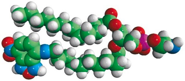 14:0-12:0 NBD PE Avanti Research&#8482; - A Croda Brand 810152P, powder