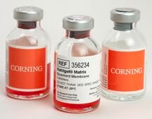 Corning&#174; Matrigel&#174; Matrix for Organoid Culture Phenol Red Free, pack of 10&#160;mL