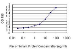 Monoclonal Anti-DDX20 antibody produced in mouse clone 5H5, purified immunoglobulin, buffered aqueous solution