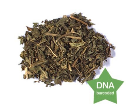 Mentha spicata Leaf Botanical reference material