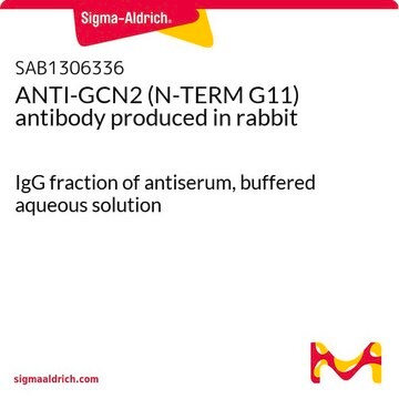 ANTI-GCN2 (N-TERM G11) antibody produced in rabbit IgG fraction of antiserum, buffered aqueous solution