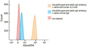 Anti-IL2 antibody produced in rabbit