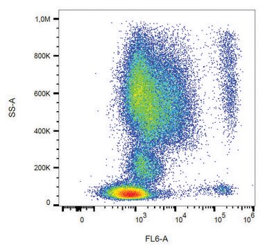 Monoclonal Anti-CD193 antibody produced in mouse clone 5E8