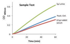 Amylase Activity Assay Kit sufficient for 100&#160;colorimetric&nbsp;tests