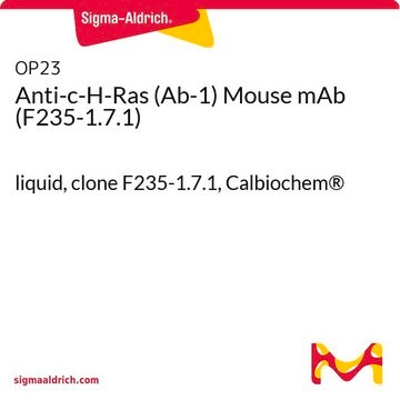 Anti-c-H-Ras (Ab-1) Mouse mAb (F235-1.7.1) liquid, clone F235-1.7.1, Calbiochem&#174;