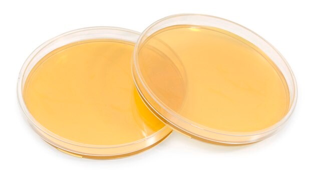 Tryptic Soy Agar 90mm ICR+ Settle plate, irradiated, triple packed, for environmental monitoring (Isolator and Clean room)