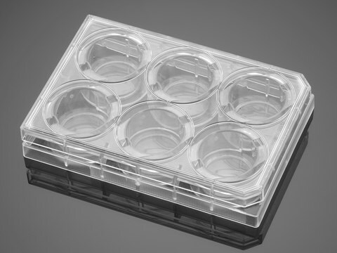 Corning&#174; BioCoat&#8482; Gelatin Multiwell Plate well size 6&#160;wells, flat bottom clear wells, lid