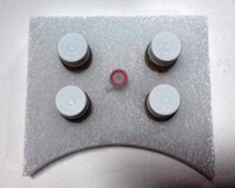 BL21(DE3) Electrocompetent Cells for protein expression