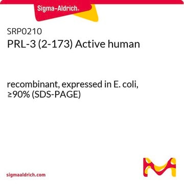 PRL-3 (2-173) Active human recombinant, expressed in E. coli, &#8805;90% (SDS-PAGE)