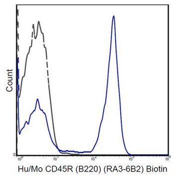 Anti-CD45R (B220) Antibody (human/mouse), Biotin, clone RA3-6B2 clone RA3-6B2, 0.5&#160;mg/mL, from rat