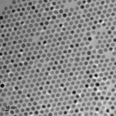 Iron oxide(II,III), magnetic nanoparticles solution 10&#160;nm avg. part. size (TEM), amine functionalized, 1&#160;mg/mL Fe in H2O, dispersion