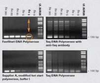 FastStart&#8482; Taq DNA Polymerase, 5 U/&#956;l dNTPs included: no, hotstart, suitable for PCR