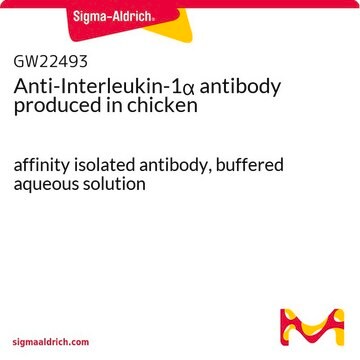 Anti-Interleukin-1&#945; antibody produced in chicken affinity isolated antibody, buffered aqueous solution