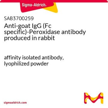 Anti-goat IgG (Fc specific)-Peroxidase antibody produced in rabbit affinity isolated antibody, lyophilized powder