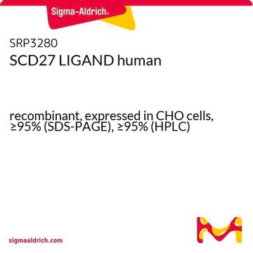 SCD27 LIGAND human recombinant, expressed in CHO cells, &#8805;95% (SDS-PAGE), &#8805;95% (HPLC)