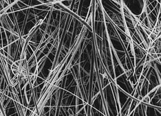 Glass Fiber Membrane Filter, 1.0 &#956;m Pore Size Millipore, filter diam. 47&#160;mm, hydrophilic