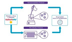 NanoFabTx&#8482; reagent PEGPLGA-75L