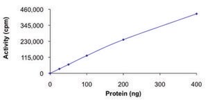 FLT4 (800-end), active, GST tagged human PRECISIO&#174; Kinase, recombinant, expressed in baculovirus infected Sf9 cells, &#8805;70% (SDS-PAGE), buffered aqueous glycerol solution