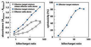 Cytotoxicity Detection KitPLUS (LDH) sufficient for 400&#160;multiwell tests (04744926001), sufficient for 2,000&#160;multiwell tests (04744934001), kit of 1 (4 components), suitable for protein quantification, suitable for cell analysis, detection