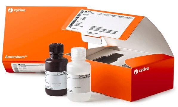 ECL&#8482; Select Western Blotting Detection Reagent Cytiva RPN2235