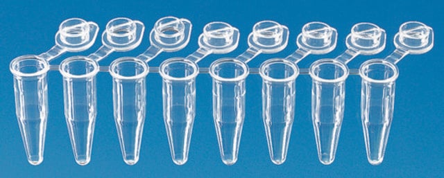 BRAND&#174; PCR tubes, strips of 8 attached transparent single caps, low profile, capacity 0.15&#160;mL, white wells