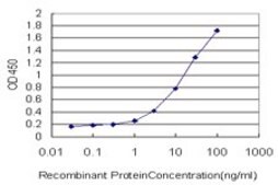 Monoclonal Anti-LAMC1 antibody produced in mouse clone M1, purified immunoglobulin, buffered aqueous solution