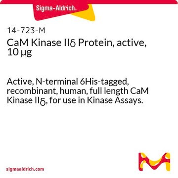 CaM Kinase II&#948; Protein, active, 10 &#181;g Active, N-terminal 6His-tagged, recombinant, human, full length CaM Kinase II&#948;, for use in Kinase Assays.