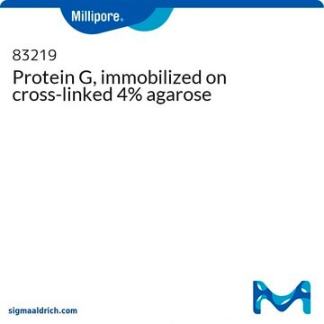 Protein&#160;G, immobilized on cross-linked 4% agarose