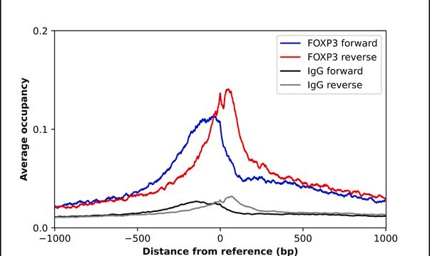 Anti-FOXP3 antibody produced in rabbit Prestige Antibodies&#174; Powered by Atlas Antibodies, affinity isolated antibody