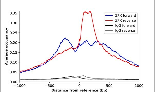 Anti-ZFX antibody produced in rabbit Prestige Antibodies® Powered by Atlas Antibodies, affinity isolated antibody, buffered aqueous glycerol solution
