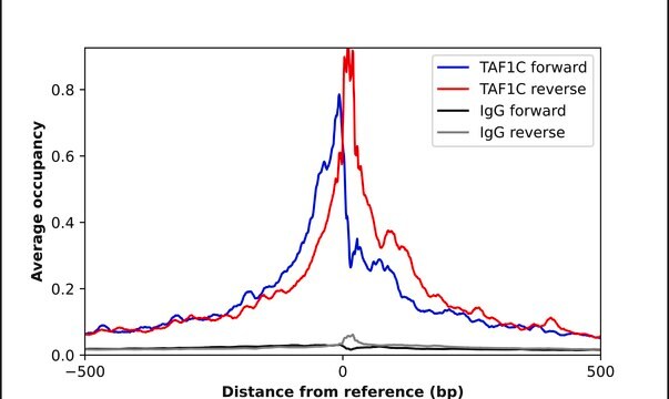 Anti-TAF1C antibody produced in rabbit Prestige Antibodies&#174; Powered by Atlas Antibodies, affinity isolated antibody