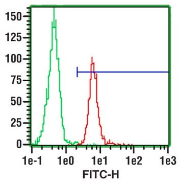 Monoclonal Anti-CD31 (PECAM-1)&#8722;FITC antibody produced in mouse clone WM-59, purified immunoglobulin, buffered aqueous solution