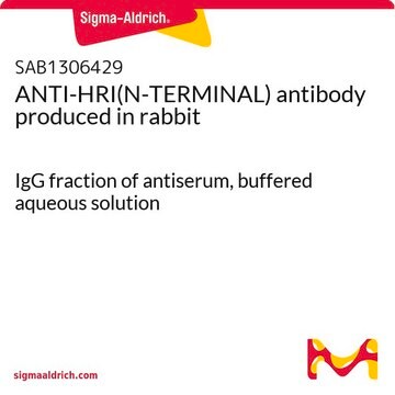 ANTI-HRI(N-TERMINAL) antibody produced in rabbit IgG fraction of antiserum, buffered aqueous solution