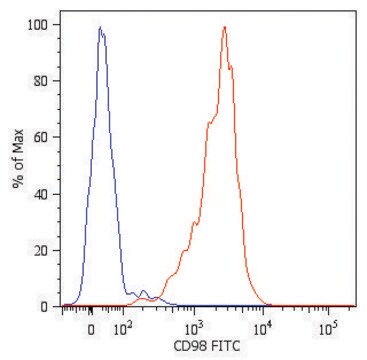 Monoclonal Anti-CD98-FITC antibody produced in mouse clone MEM-108, purified immunoglobulin, buffered aqueous solution