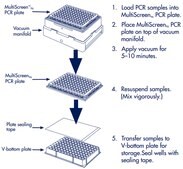 MultiScreenHTS Vacuum Manifold The MultiScreen&#174;HTS Vacuum Manifold is designed for use with 96-well plate and 384-well plate MultiScreenHTS filter and collection plates