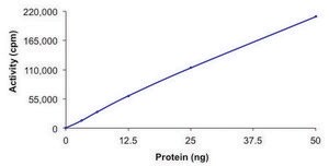 PKC-&#948;, active, GST tagged human PRECISIO&#174;, recombinant, expressed in baculovirus infected Sf9 cells, &#8805;70% (SDS-PAGE), buffered aqueous glycerol solution