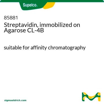 Streptavidin, immobilized on Agarose CL-4B suitable for affinity chromatography