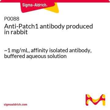 Anti-Patch1 antibody produced in rabbit ~1&#160;mg/mL, affinity isolated antibody, buffered aqueous solution