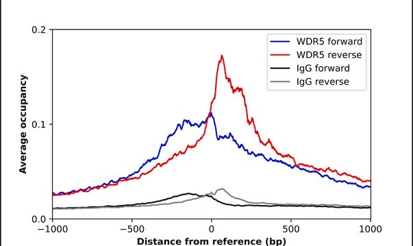 Anti-WDR5 antibody produced in rabbit Prestige Antibodies&#174; Powered by Atlas Antibodies, affinity isolated antibody