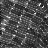 Gold nanorods 10&#160;nm diameter, &#955;max, 850&#160;nm, dispersion in H2O