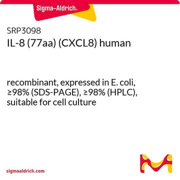 IL-8 (77aa) (CXCL8) human recombinant, expressed in E. coli, &#8805;98% (SDS-PAGE), &#8805;98% (HPLC), suitable for cell culture