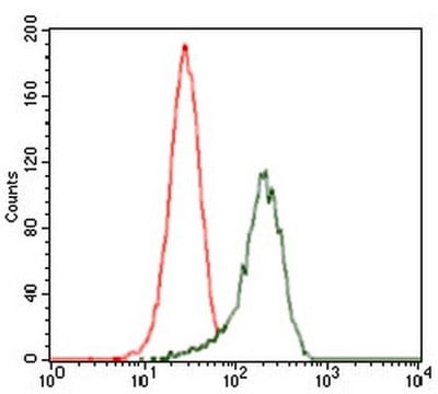 Anti-SHH Antibody, clone 5H4 clone 5H4, from mouse