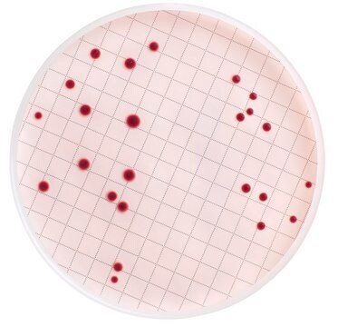 m-Endo Total Coliform Broth (Dehydrated) For testing drinking water for total coliform detection