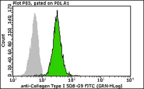 Milli-Mark&#174; Anti-Collagen Type I-FITC Antibody, clone 5D8-G9 clone 5D8-G9, Milli-Mark&#174;, from mouse