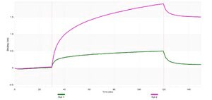 Anti-ATP2A2/SERCA2 Antibody, clone 1G13 ZooMAb&#174; Rabbit Monoclonal recombinant, expressed in HEK 293 cells