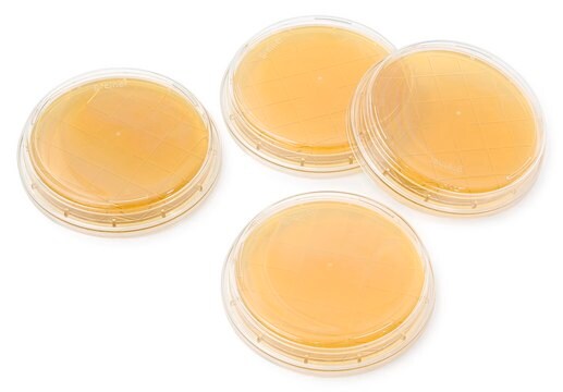 Sabouraud Dextrose Agar with Lecithin, Tween&#174;, Histidine and Sodium thiosulfate - ICR Contact plate, irradiated, triple packed, for environmental monitoring (Isolator and Clean room)