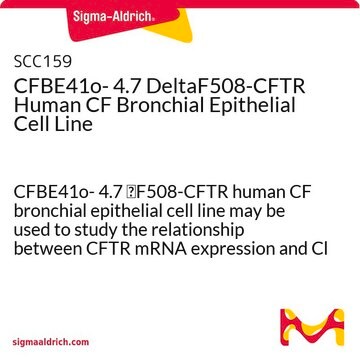 CFBE41o- 4.7 DeltaF508-CFTR Human CF Bronchial Epithelial Cell Line CFBE41o- 4.7 &#916;F508-CFTR human CF bronchial epithelial cell line may be used to study the relationship between CFTR mRNA expression and Cl transport function.